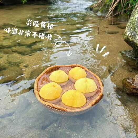 炎陵县湖南炎陵黄桃 新鲜核果仁果类 水果源头直供