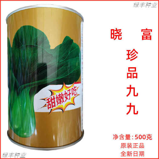 三明晓富珍品九九青梗菜种子耐热耐雨基地专用青菜 春夏秋季蔬菜种孑