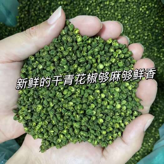 彝良县青花椒