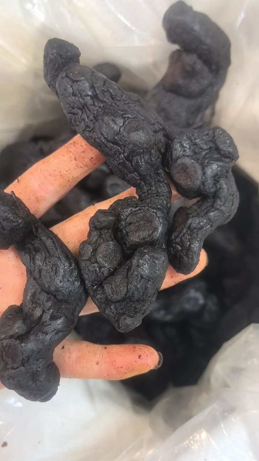 黄精九蒸九晒黄精制黄精源头直供自家加工厂一手直批