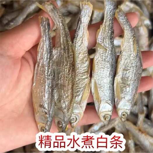 佛山精品水煮鱼干 地摊电商批发干鱼兰刀白条白肖翘嘴鱼干生晒鱼干