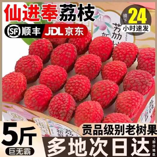 广西北流仙进奉荔枝新鲜热带水果产地直发