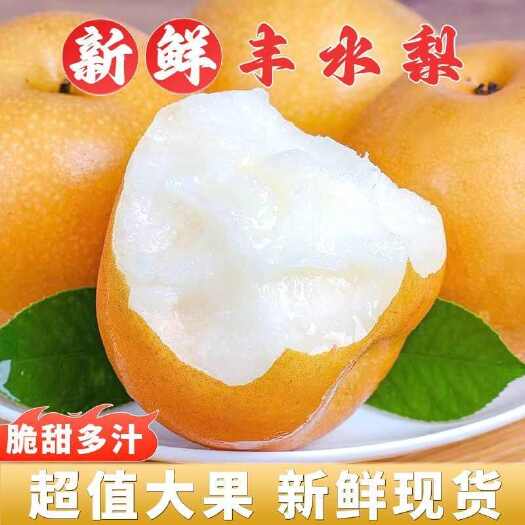 赵县【香甜爆汁】正宗冰糖丰水梨黄皮酥梨皮薄无渣新鲜水果砀山梨批发