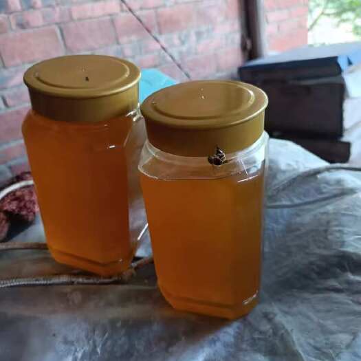 习水县贵州土蜂蜜，纯花蜜，一颗白糖都没喂的蜂糖，可先发样品