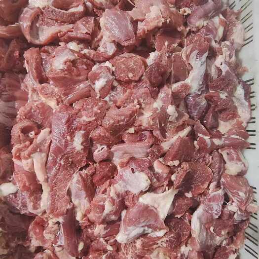 济南全牛牛碎肉瘦度高优质发全国