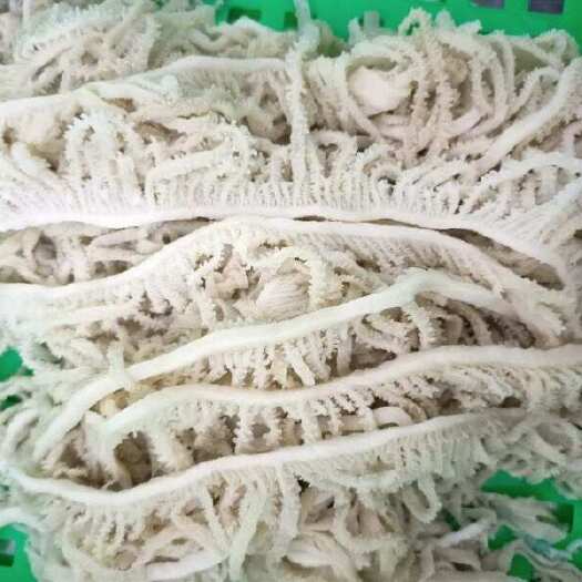 阳信县山东阳信白千层牛百叶批发 牛副产品 需要的咨询客户！