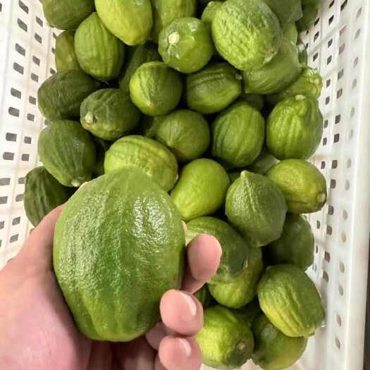 南涧县香水柠檬没你萌，万亩基地直发