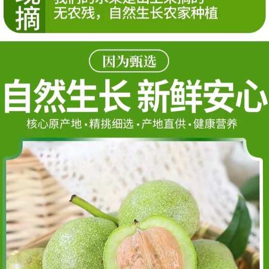 米易县高山核桃支持一件代发