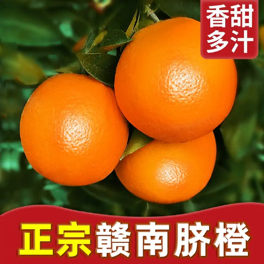 龙南市江西赣南脐橙批发大中果王新鲜橙赣南脐橙批发一件代发手剥冰糖甜