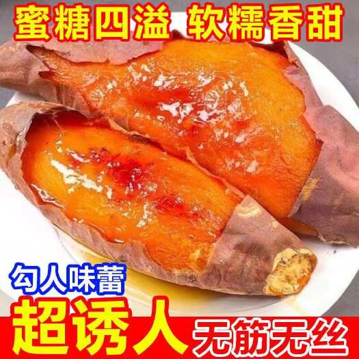 夏津县山东正宗烟薯25正宗糖心红薯现挖现发新鲜番薯沙地红心正品