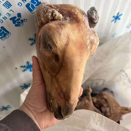 郑州火烧羊头，水褪羊头，羊蹄，处理毛发干净，价格低