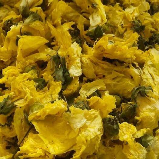 安国市黄蜀葵花  干货黄蜀葵花中药材！欢迎选购！