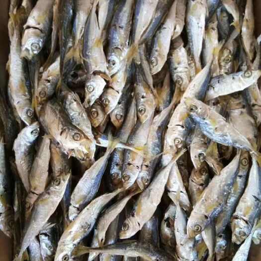 莆田巴浪鱼干即食