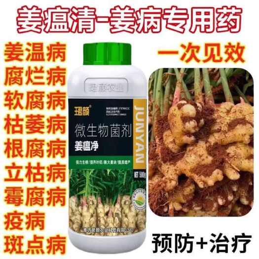 姜瘟净姜瘟专用姜瘟清生姜大姜干尖黄叶烂脖子茎基腐菌助
