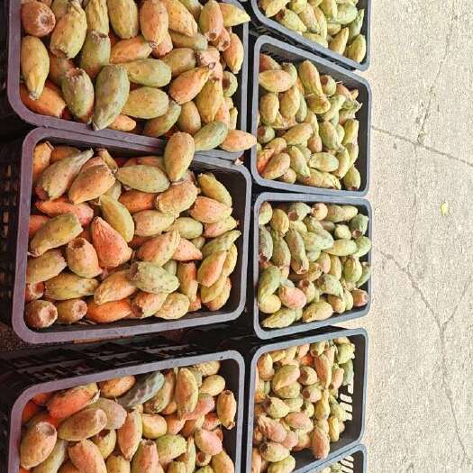 昆明云南文山新鲜大仙桃