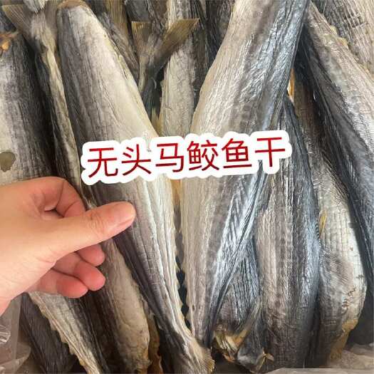 佛山无头马鲛鱼干 地摊电商批发马胶鱼干干鱼海产品干货批发