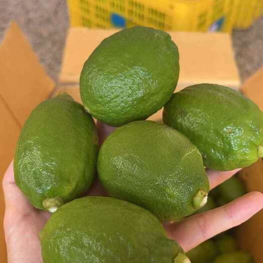 阳春市青绿二级，汁水多。