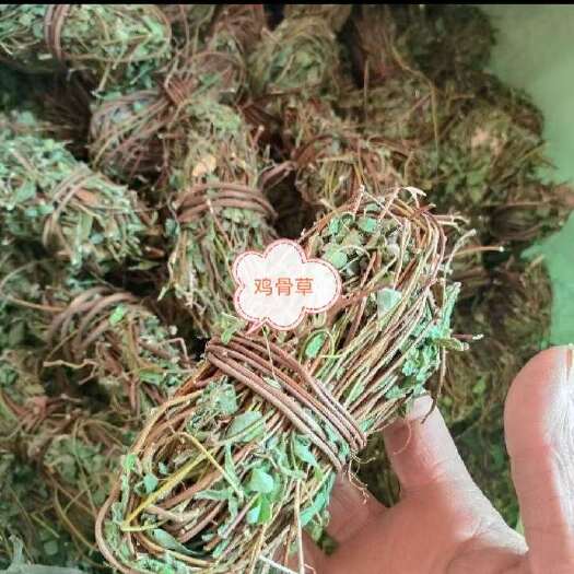 玉林鸡骨草