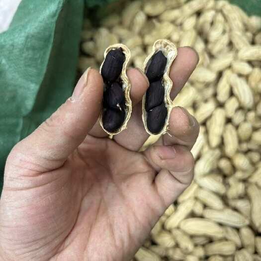 昆明黑花生。一件批发 便宜出。质量上等