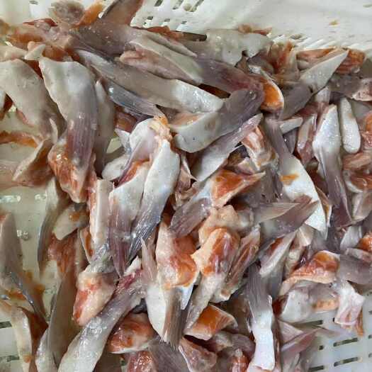 青岛海水三文鱼边角料鱼头鱼鳍鱼骨鱼排 全部工厂直发