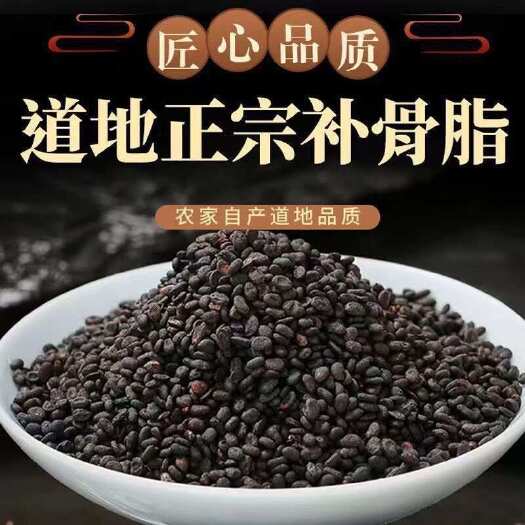 亳州补骨脂 中药材补骨脂 精选无硫补骨脂 胡韭子故子 多种