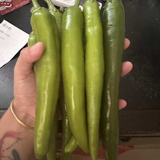 鹿邑县牛角椒，青皮椒，耙齿椒，七寸红