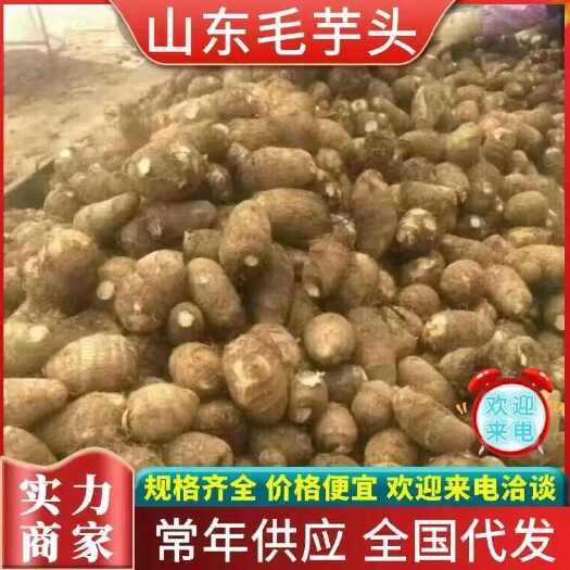 8520毛芋头，口感软糯，规格齐全，全国发货
