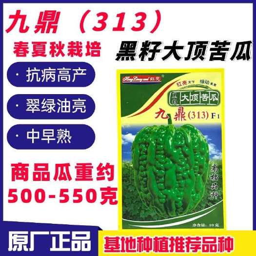 沭阳县广东杜阮苦瓜种子九鼎313大顶苦瓜种子春夏秋播凉瓜苹果苦瓜种