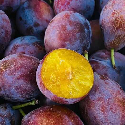大荔县陕西大荔蓝蜜西梅 新鲜水果核果仁果类 产地直发