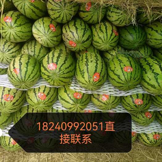 靖远县硒砂瓜