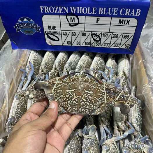 上海兰花蟹