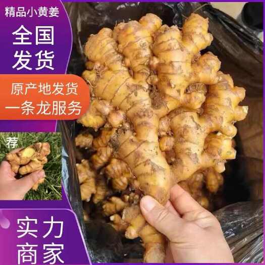 建水县云南小黄姜，口味香辣，全国发货，保质保量