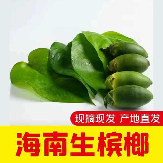 海南槟榔批发！