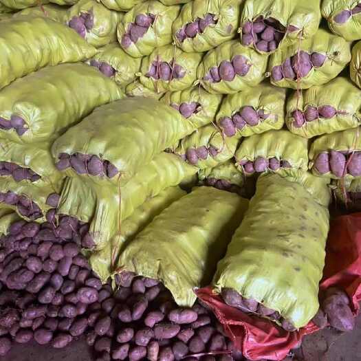 师宗县云南黄心土豆 新鲜根茎蔬菜 产地直供