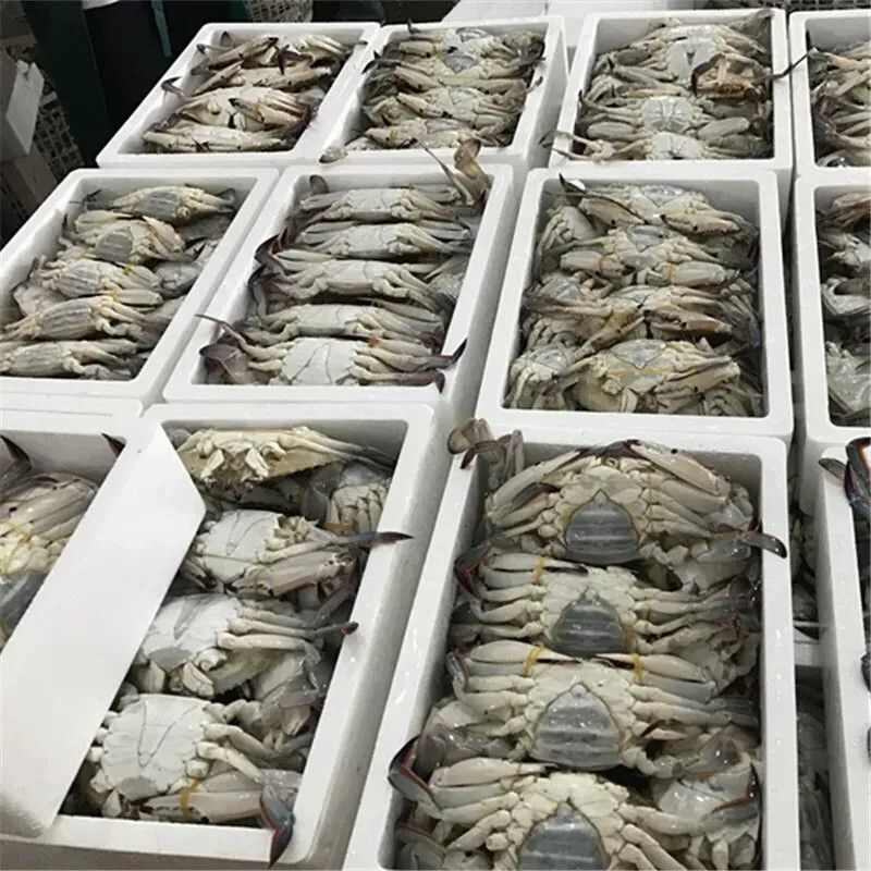 一手货源梭子蟹规格不一样价格不一样市场行情会有浮动量优惠