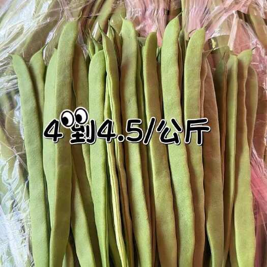 施甸县云南扁豆