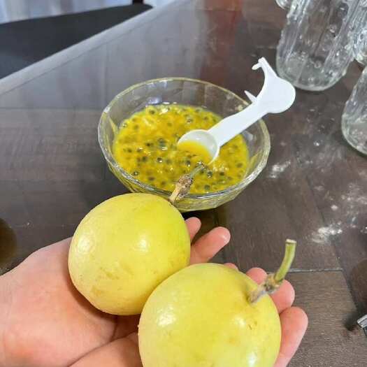 合浦县又香又甜的钦蜜9号百香果，不同规格欢迎询价