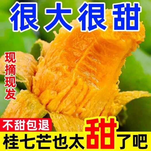 田东县整箱10斤广西桂七芒当季新鲜暴甜产地直供现摘果园直发青皮