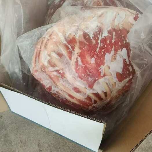 阳信县羔羊排，货源充足，全国发货，手续齐全，支持现场看货，需要联系