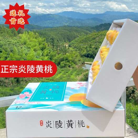 炎陵县炎陵黄桃/黄桃/高山黄桃/新鲜黄桃（7月中旬上市 产地直发）