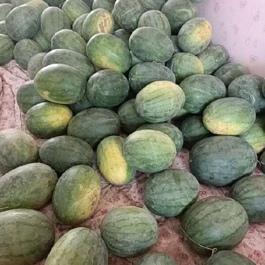 泊头市黑皮西瓜