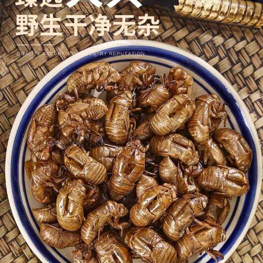 济南蝉蜕中药材500克蝉衣金蝉皮金蝉衣蝉虫衣知了皮壳皮衣散装打粉