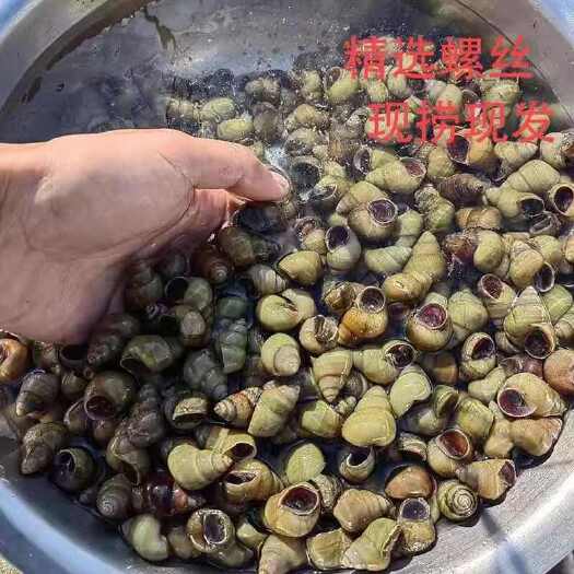 仙桃市1.4以上普食