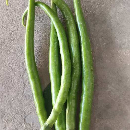 定边县陕西榆林定边辣椒 三号线椒，量大质量稳定