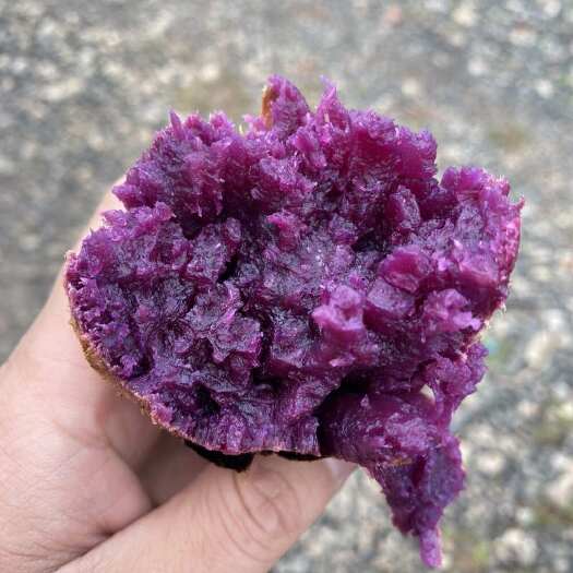温岭市蜜糖紫薯