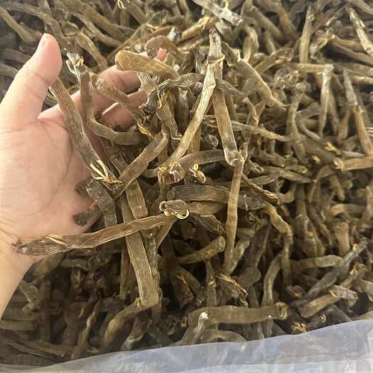 北海￼ 北海沙虫干工厂直销淡干350条一斤大号海虫海鲜干货