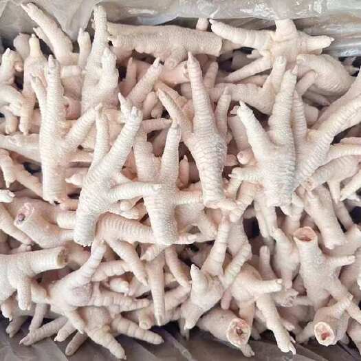 成都批发冷冻凤爪短柄无伤疤无淤血商用批发卤味生鸡爪食材一件代发