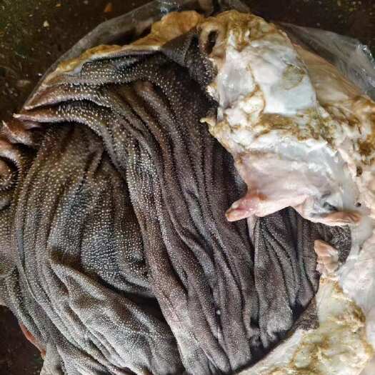绵阳牛百叶 牛副产品