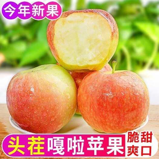 莘县2025嘎啦苹果新鲜现摘头茬酸甜小苹果应季水果整箱批发