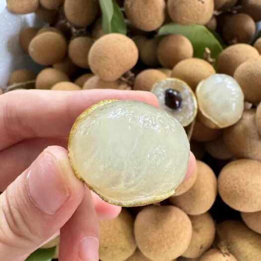 【顺丰包邮】广东新鲜现摘储良龙眼鲜果当季甜桂圆一整箱肉厚